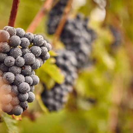 فندق Domaine Beauregard رول المظهر الخارجي الصورة
