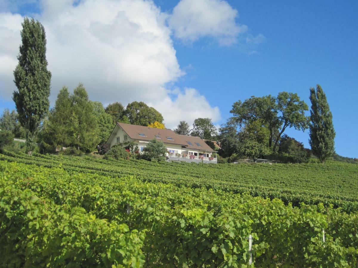 فندق Domaine Beauregard رول المظهر الخارجي الصورة