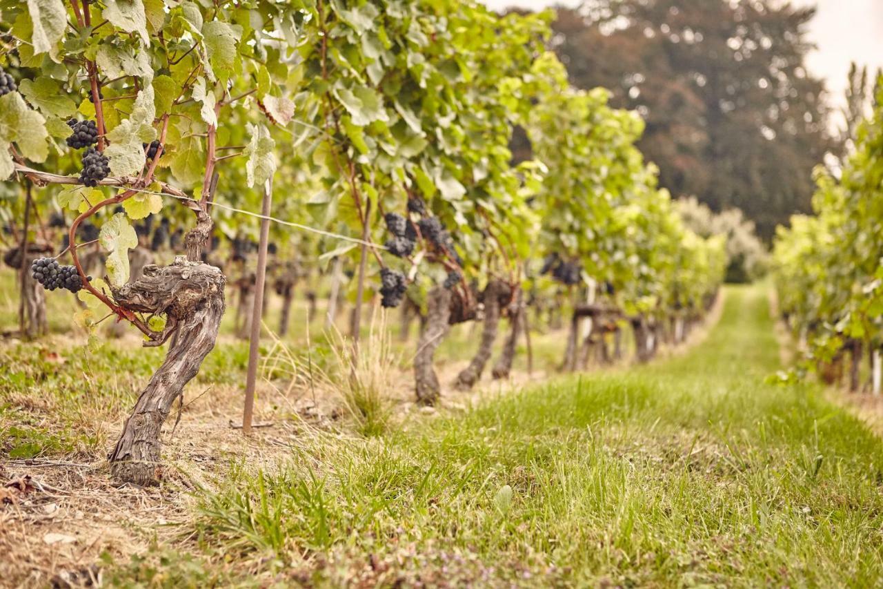 فندق Domaine Beauregard رول المظهر الخارجي الصورة