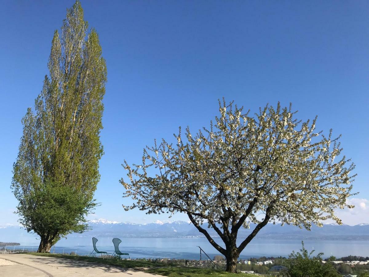 فندق Domaine Beauregard رول المظهر الخارجي الصورة