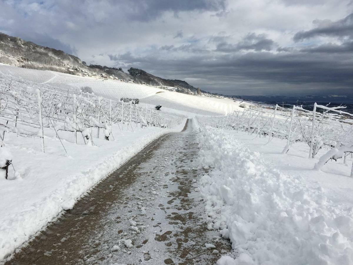 فندق Domaine Beauregard رول المظهر الخارجي الصورة